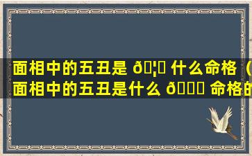 面相中的五丑是 🦉 什么命格（面相中的五丑是什么 🐈 命格的人）